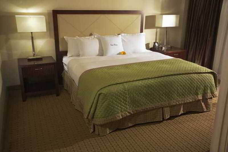 Doubletree By Hilton Tampa Rocky Point Waterfront Hotel Værelse billede